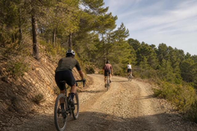 Gravel riders on a shaded pine-forest track east of Marbella